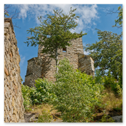 Blick zu der Burgruine