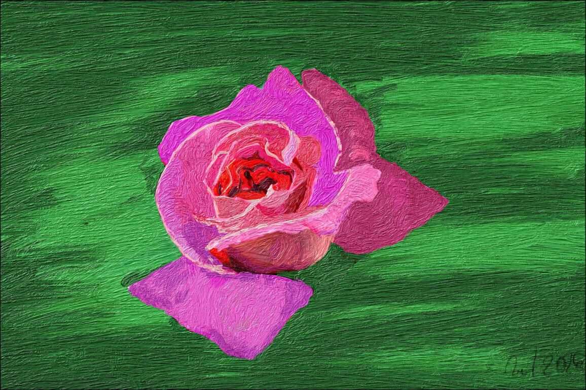 Rose als digitale Zeichnung